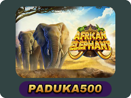 African Elephant